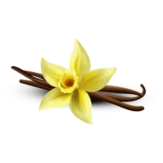 Vanilla
