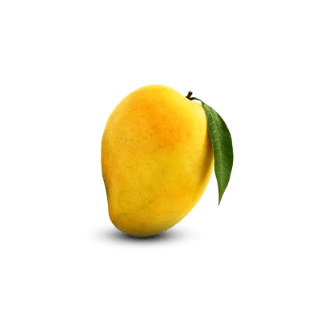 Alphonso Mango