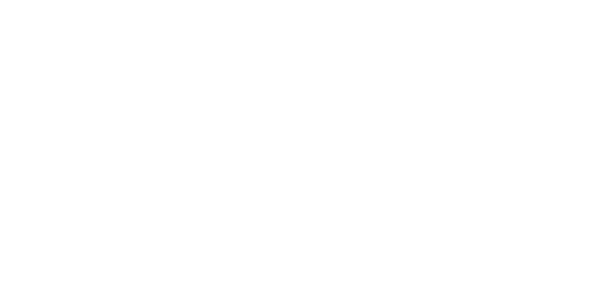 Kiwi Premium ICE CREAM
